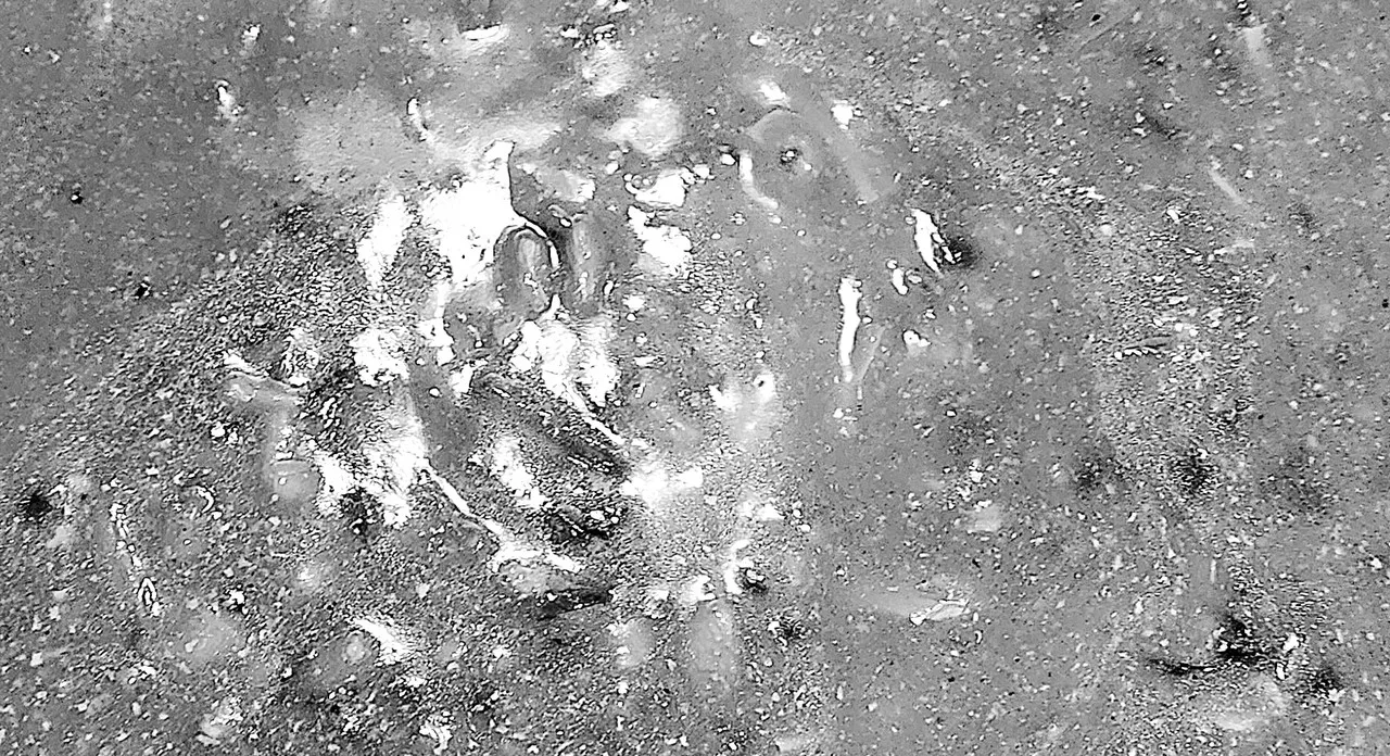 a grain black-and-white photo of some slop