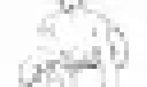 A seated anthro dog man pulling his shorts aside to display his erection