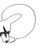 A pen sketch of a raccoon head emitting an empty speech bubble