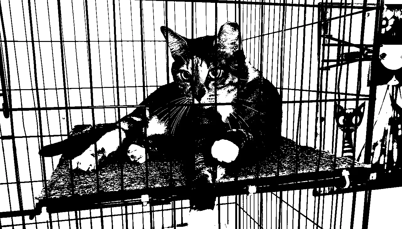 a tabby cat sitting in an enclosure with its paws sticking out of the cage