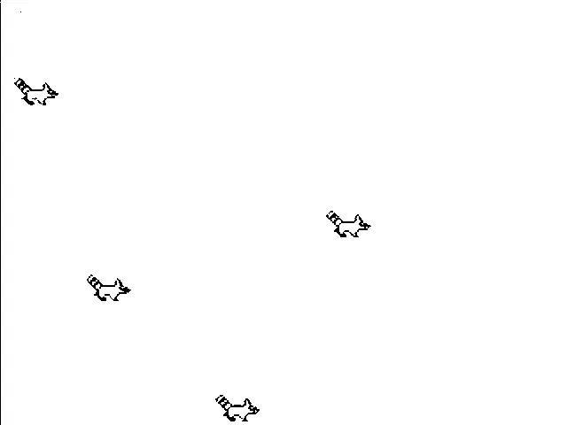 animated gif of pixel-art raccoons bouncing against each other like pool balls in a frictionless void