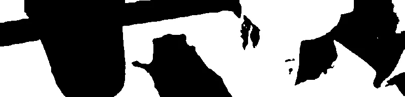 The raccoon that raided a liquor store and passed out in the bathroom