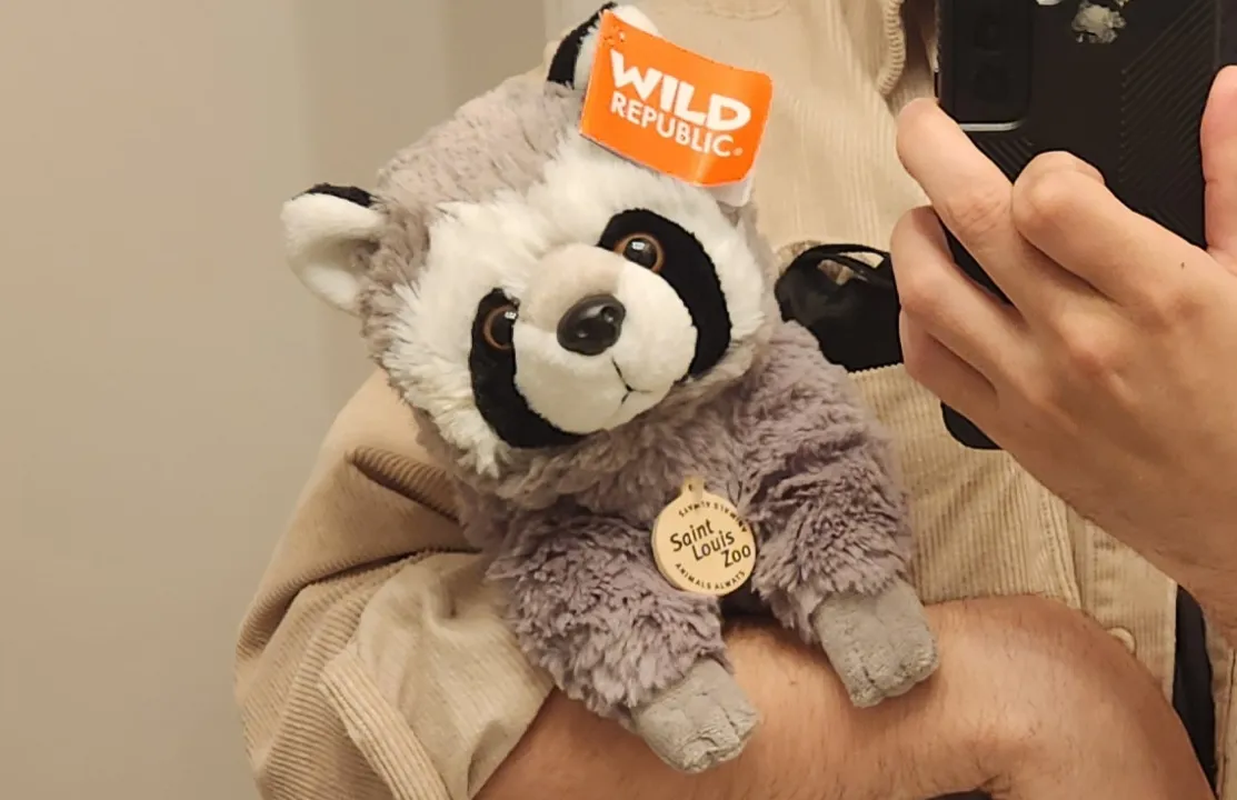 An adorable raccoon plushie