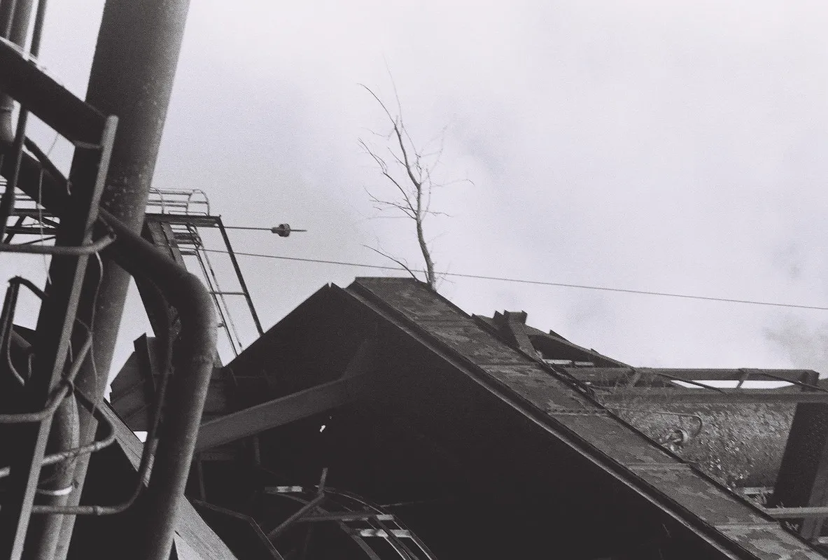 dead branch extending from a platform on the steel mill
