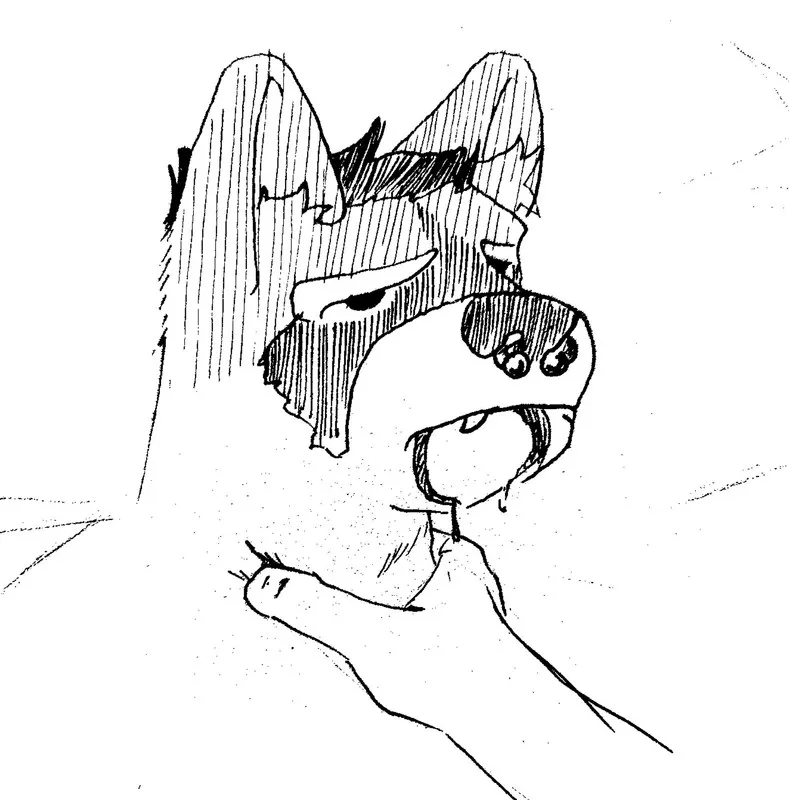 An anthro raccoon man being choked