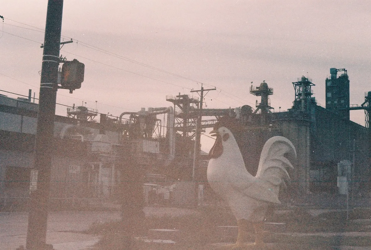 a chicken statue in front of an industrial landscape