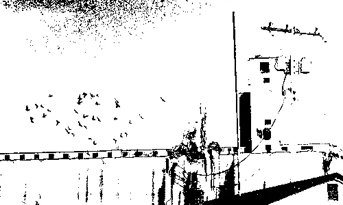 industrial landscape with birds