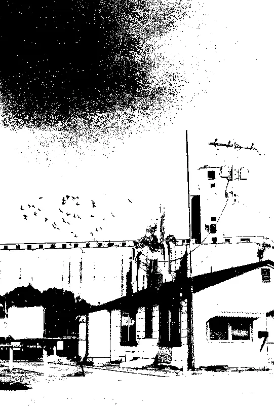 industrial landscape with birds