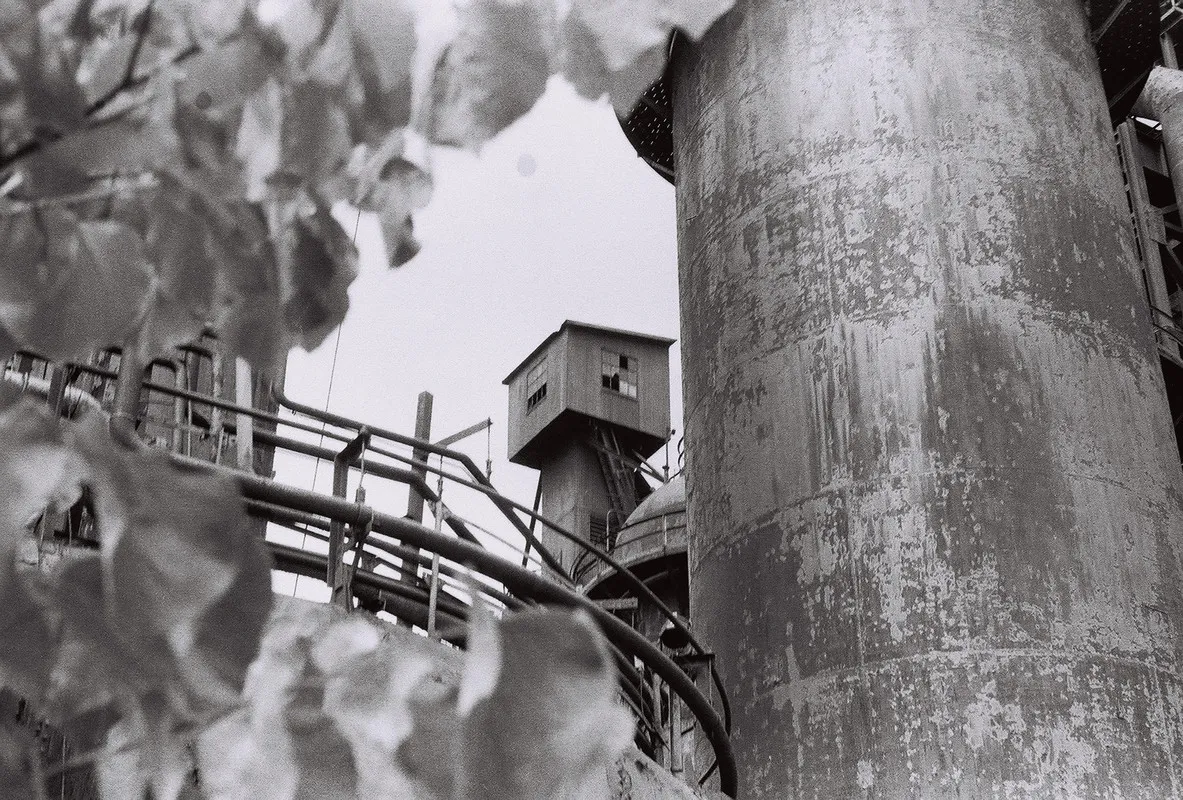 a watch tower framed by leaves on one side and a rusty metal tower on the other