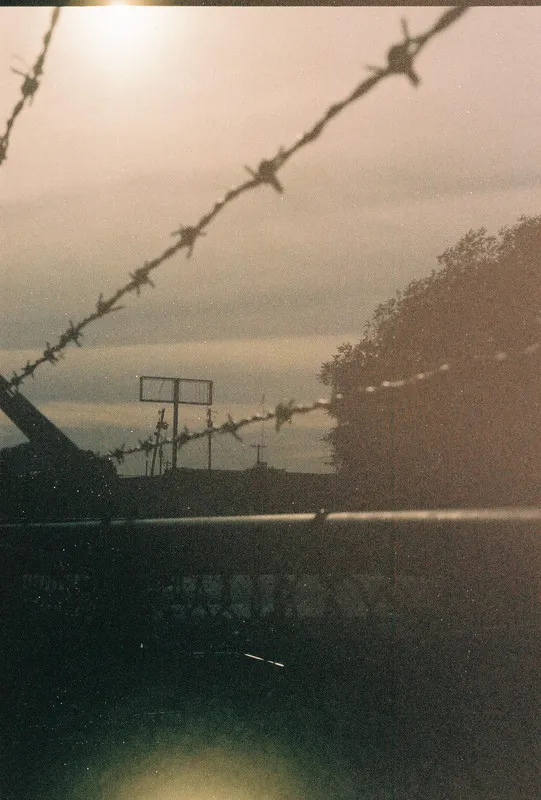barbed wire fence