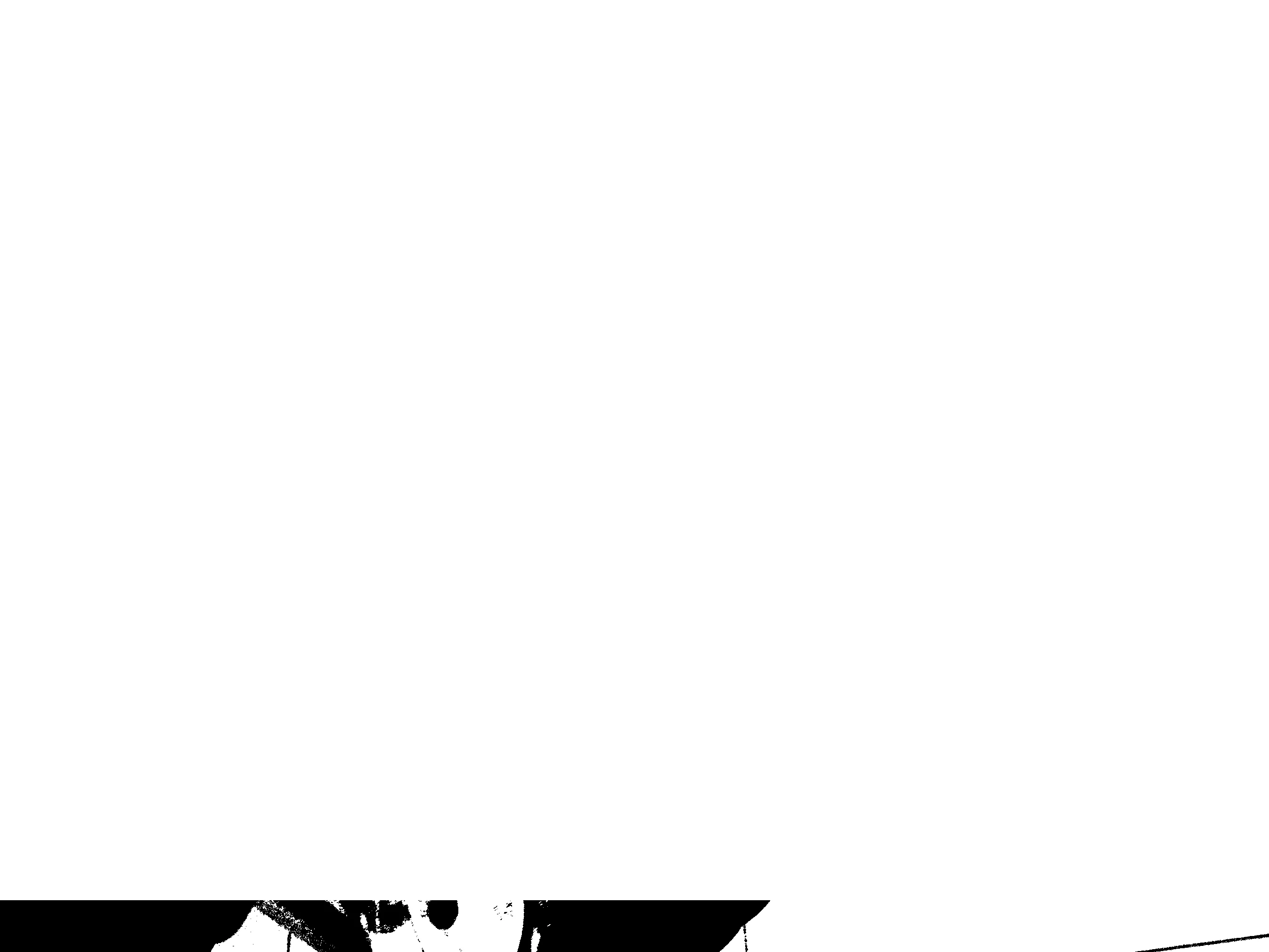 a datamoshed image of CD binders