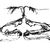 two mammalian snouts pushed against each other, teeth bared.