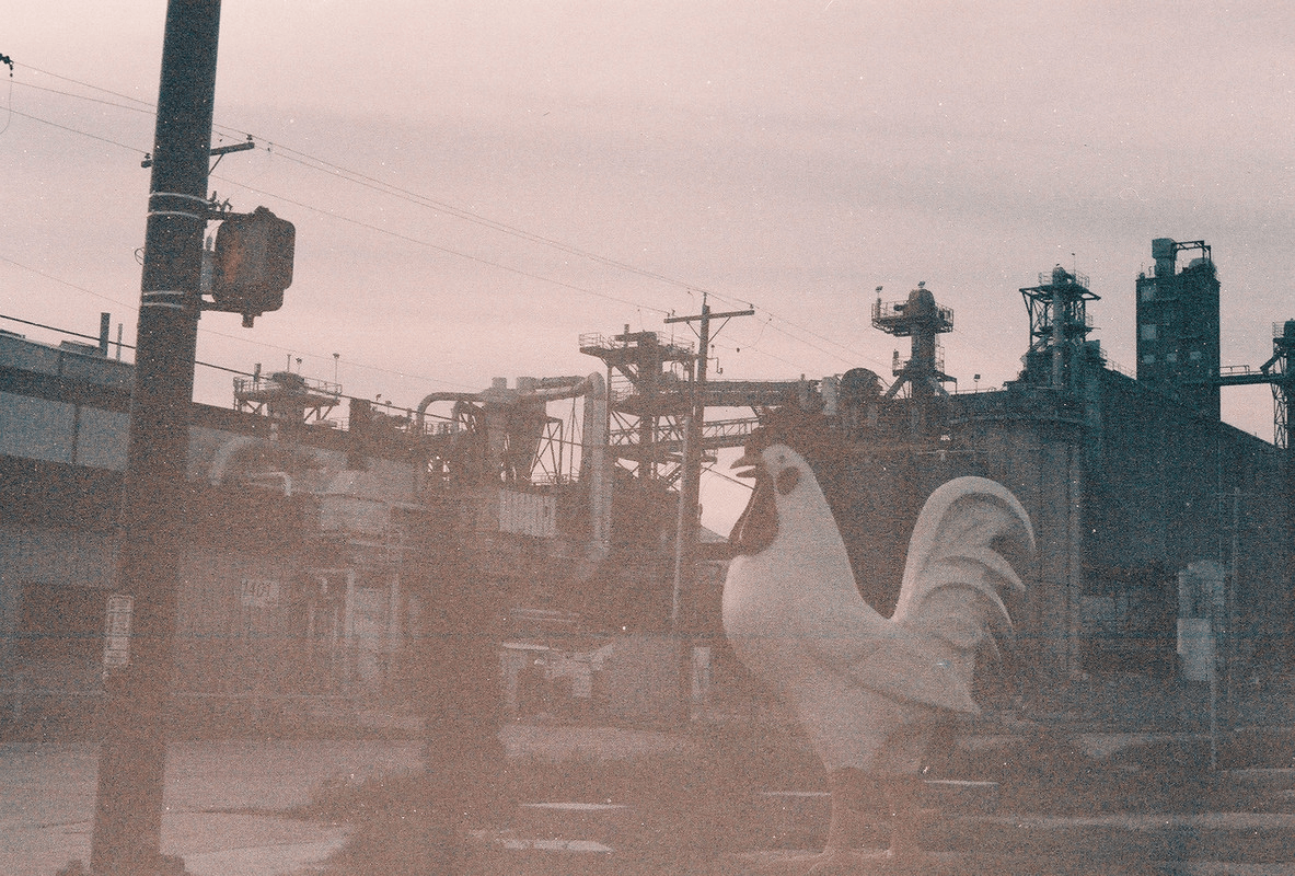 a chicken statue in front of an industrial landscape