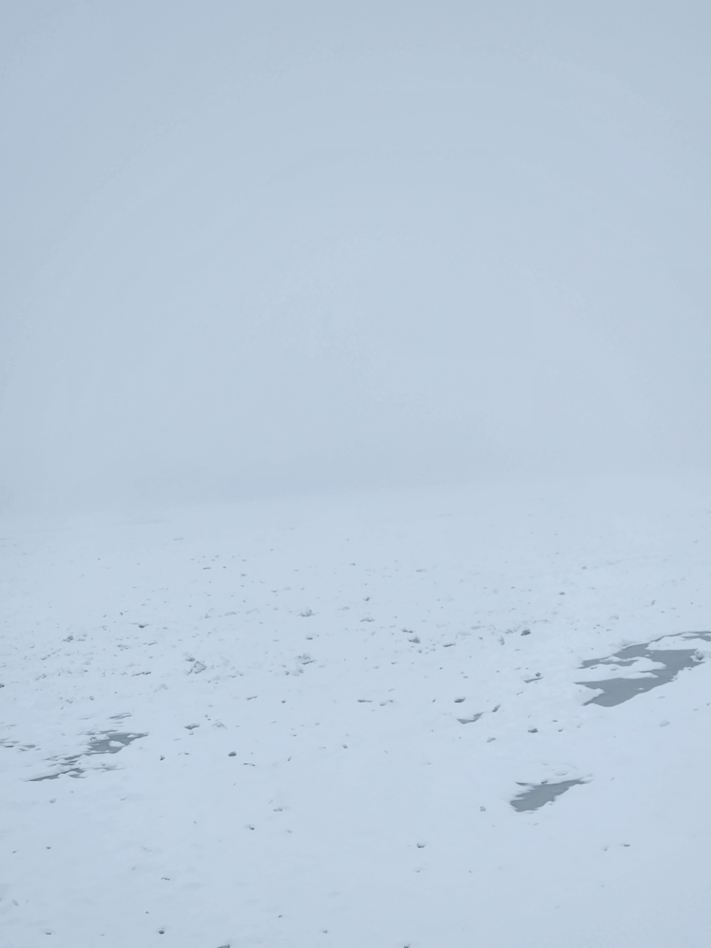 a landscape made indistinct by a blizzard. It's hard to tell if it's a field or a lake