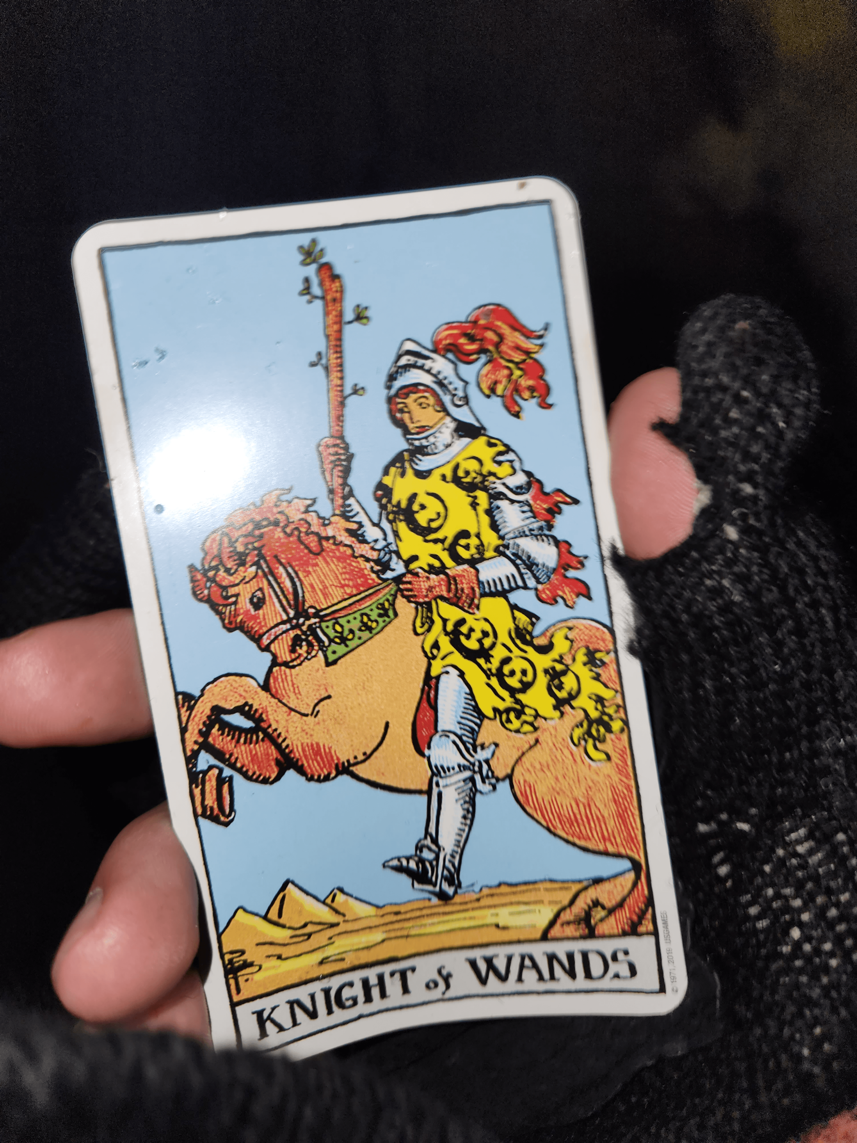 My mitten'd hand holding the Knight of Wands tarot card