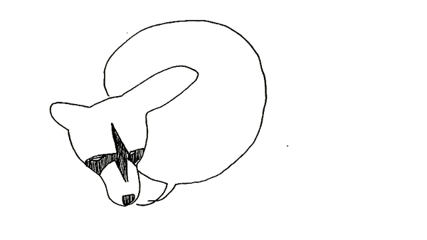A pen sketch of a raccoon head emitting an empty speech bubble