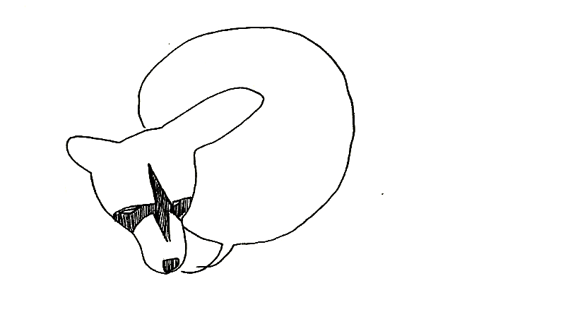 A pen sketch of a raccoon head emitting an empty speech bubble