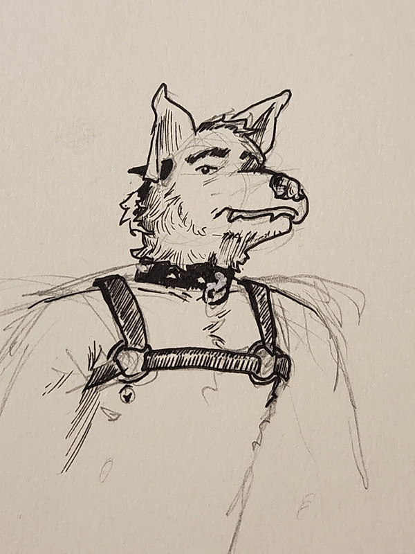 An anthro dog wearing a torso harness