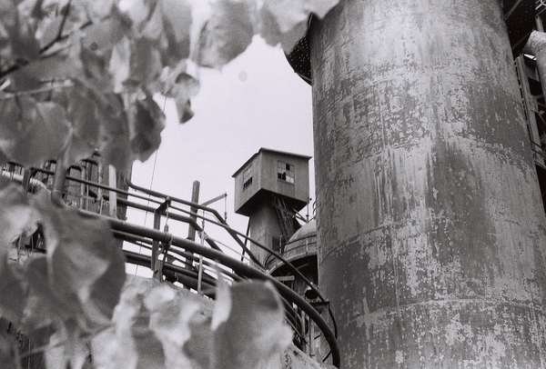 a watch tower framed by leaves on one side and a rusty metal tower on the other