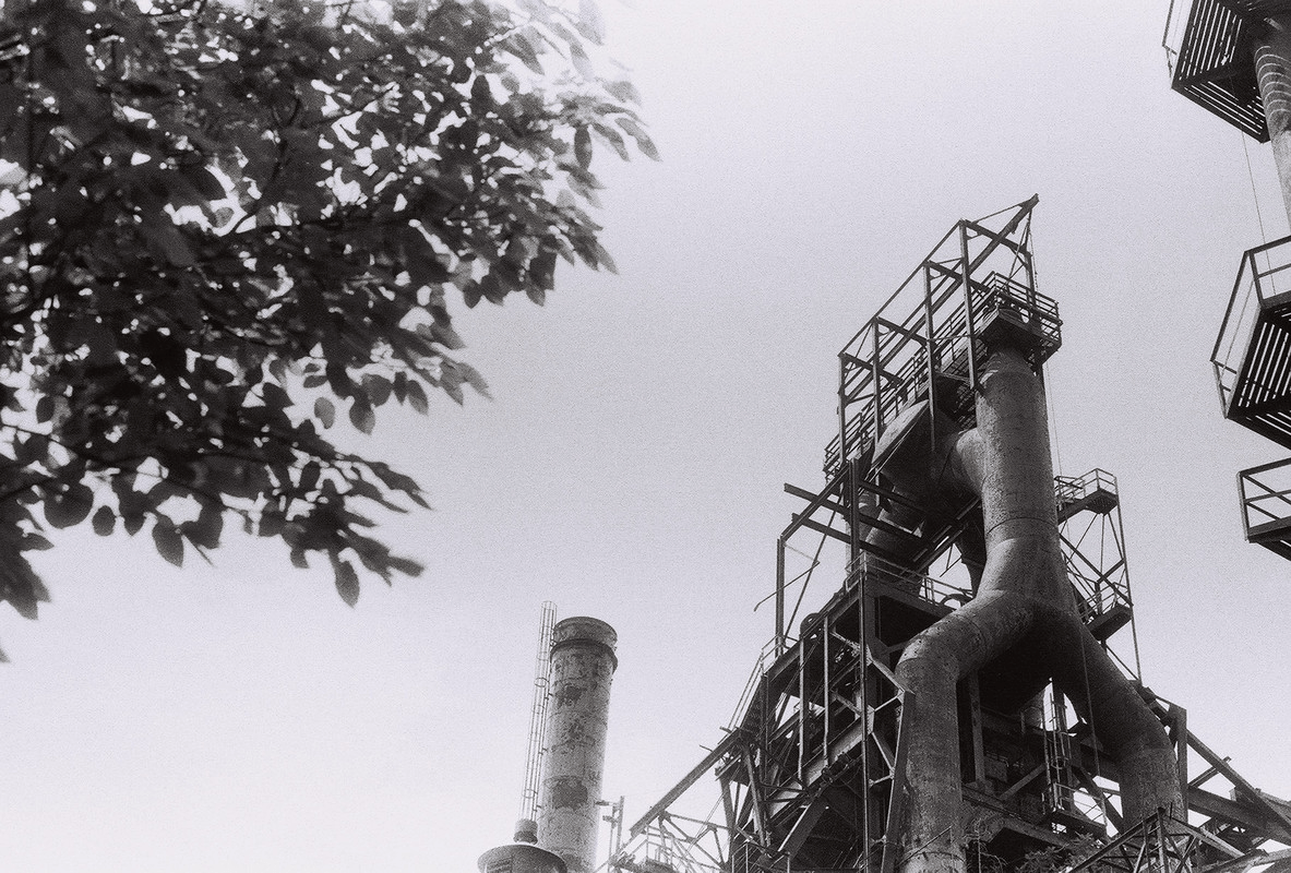 steel mill tower framed by leaves