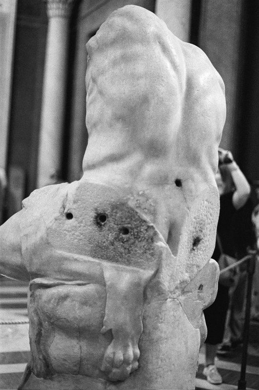 The back side of the belvedere torso