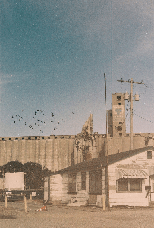 industrial landscape with birds